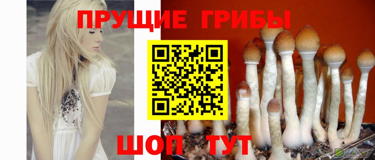 Псилоцибиновые грибы Magic Shrooms Бердск