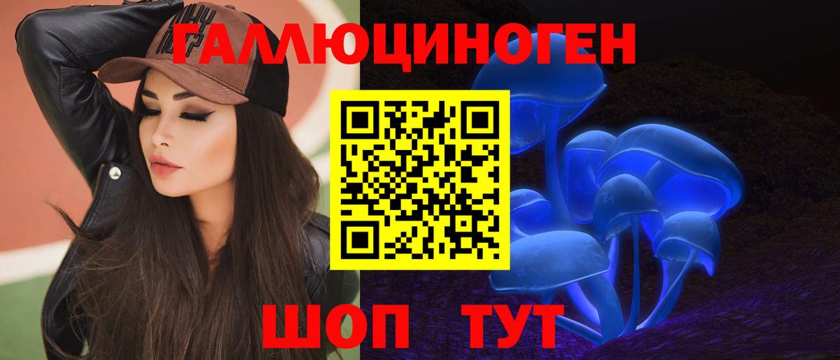 Бердск  Псилоцибиновые грибы GOLDEN TEACHER  Галлюциногенные грибы Psilocybe  Вход с VPN 